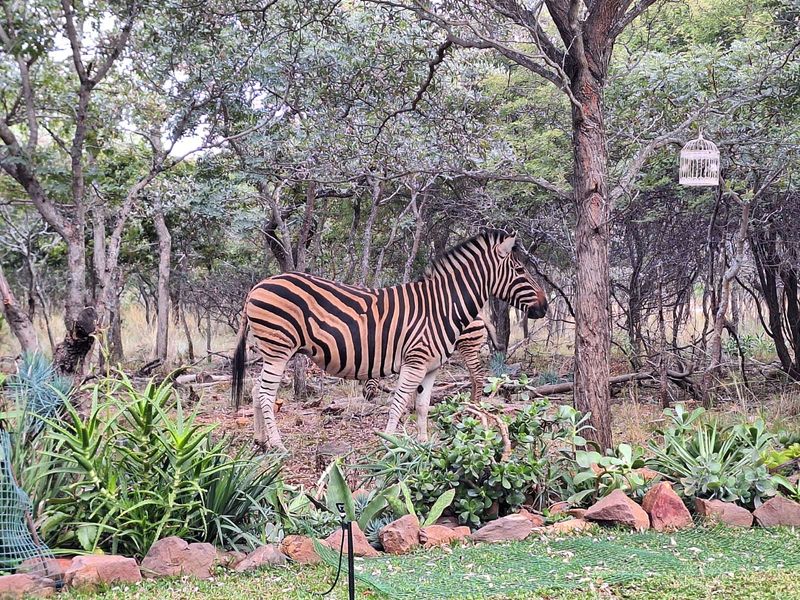 Vacant Land Residential For Sale in Koro Creek Golf Estate - Photo 4