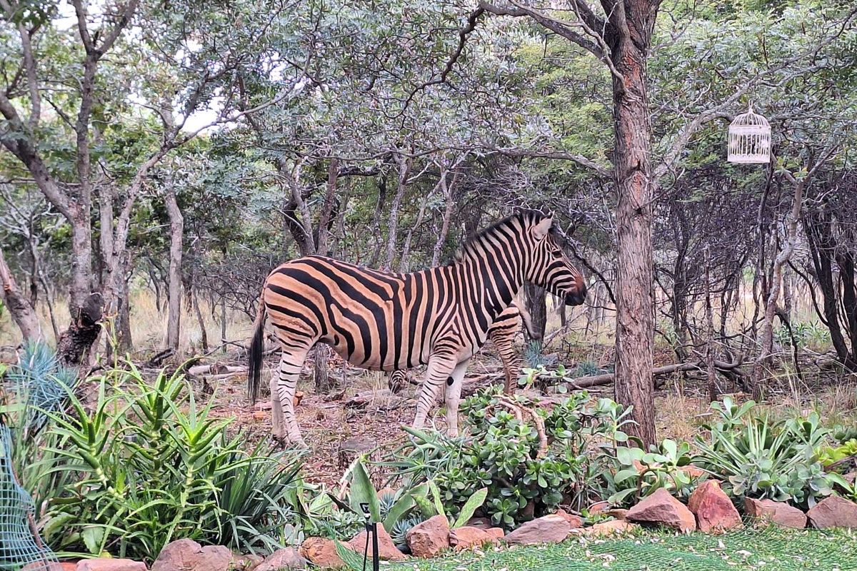 Vacant Land Residential For Sale in Koro Creek Golf Estate - Photo 4