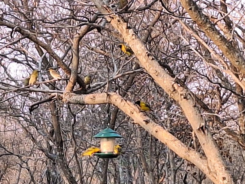 Vacant Land Residential For Sale in Koro Creek Golf Estate - Photo 5