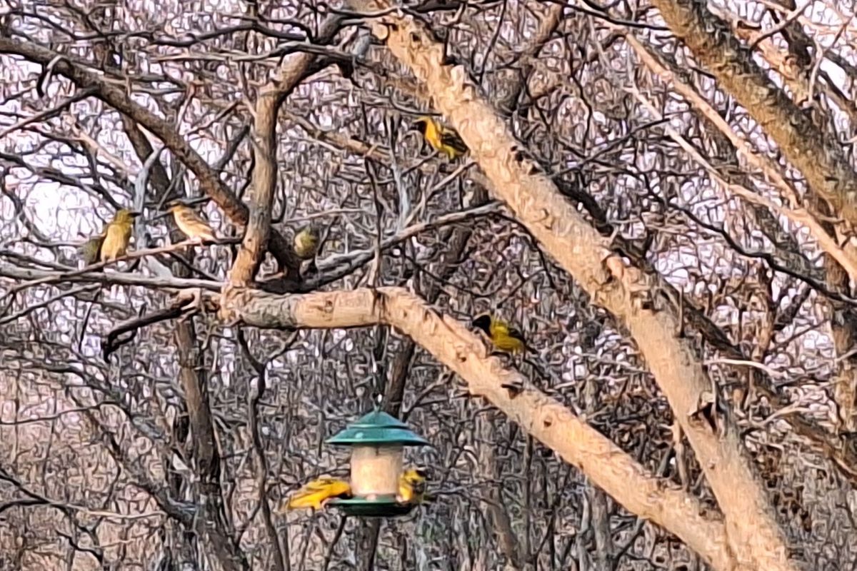 Vacant Land Residential For Sale in Koro Creek Golf Estate - Photo 5