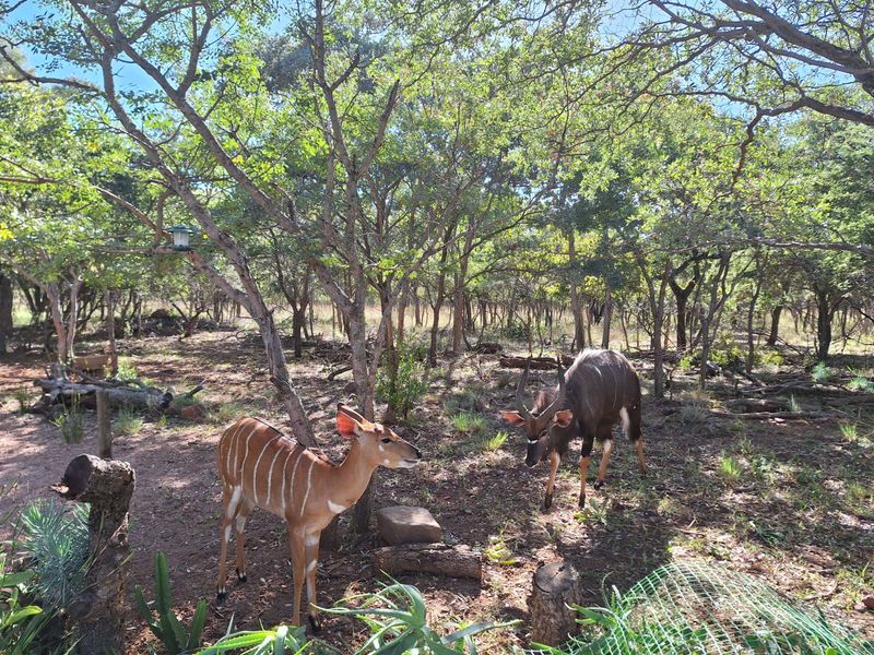Vacant Land Residential For Sale in Koro Creek Golf Estate - Photo 7