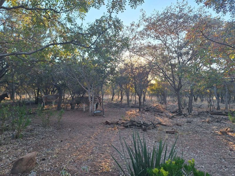 Vacant Land Residential For Sale in Koro Creek Golf Estate - Photo 6