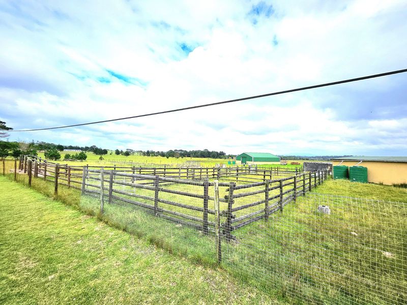 Farm For Sale in Colleen Glen - Photo 7