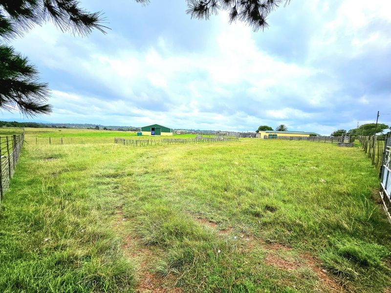 Farm For Sale in Colleen Glen - Photo 6