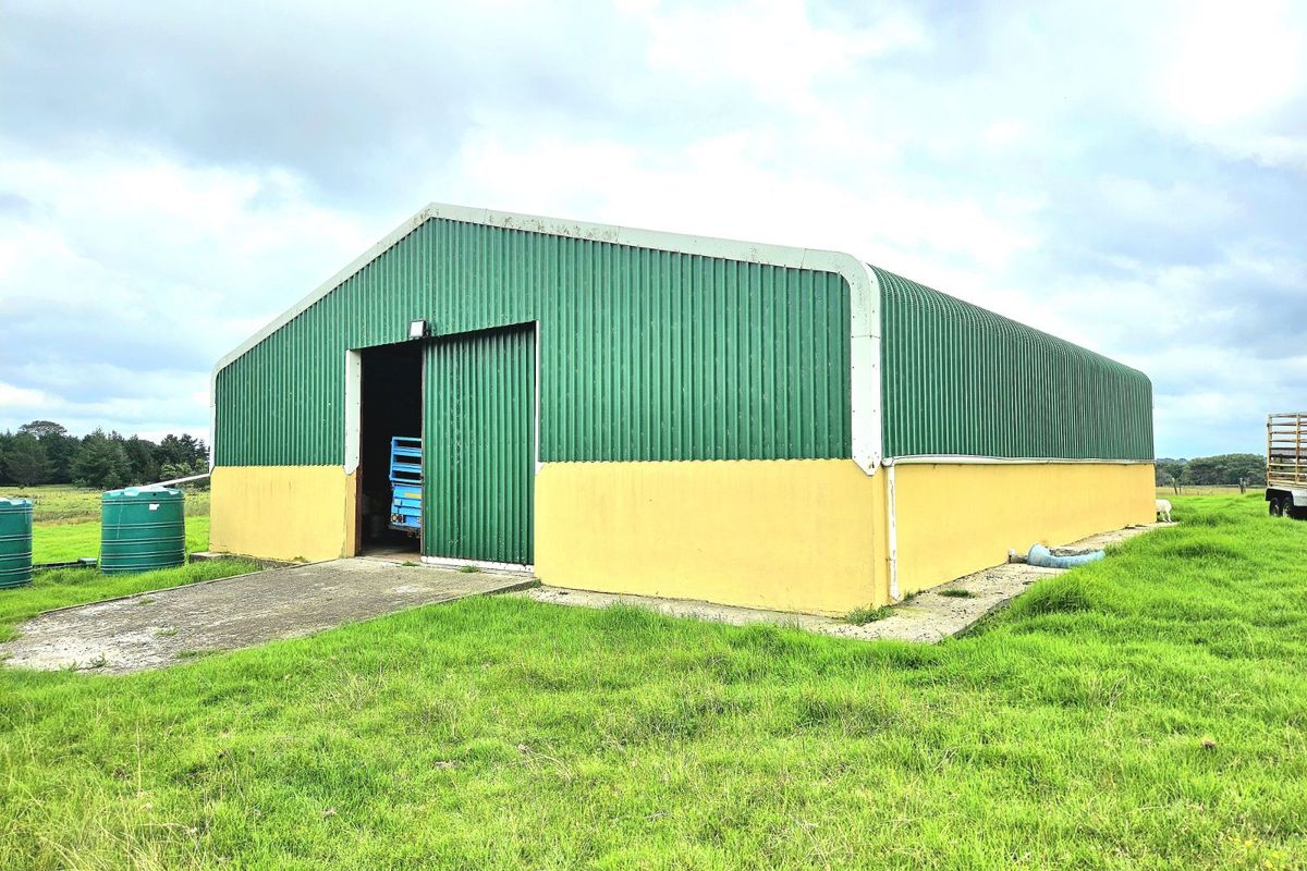 Farm For Sale in Colleen Glen - Photo 5