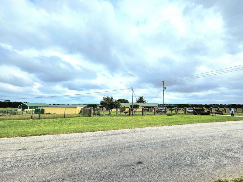 Farm For Sale in Colleen Glen - Photo 9