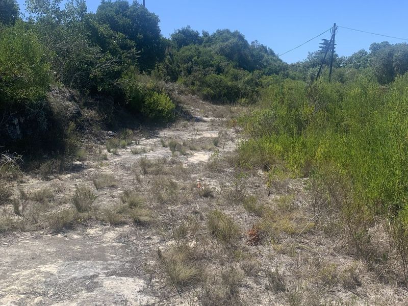 Vacant Land Residential For Sale in Stilbaai Oos - Photo 3