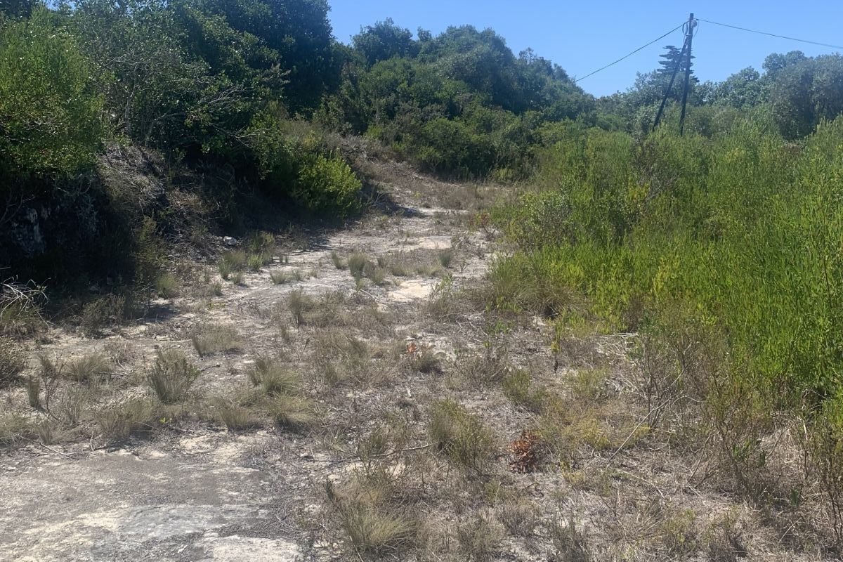 Vacant Land Residential For Sale in Stilbaai Oos - Photo 3