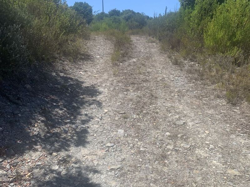 Vacant Land Residential For Sale in Stilbaai Oos - Photo 4