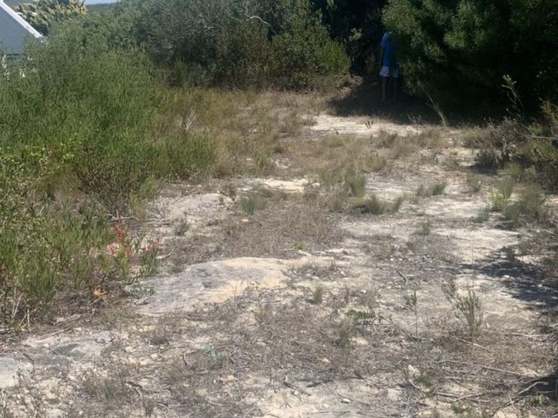 Vacant Land Residential For Sale in Stilbaai Oos - Photo 8