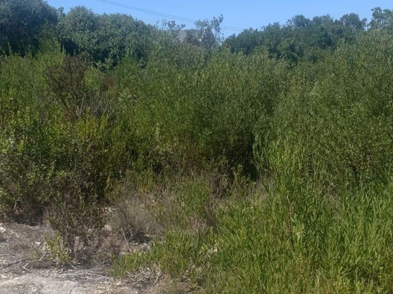 Vacant Land Residential For Sale in Stilbaai Oos - Photo 6