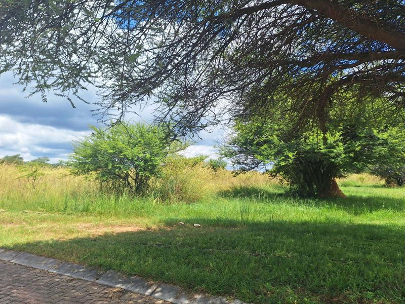 Vacant Land Residential For Sale in Koro Creek Golf Estate - Photo 2