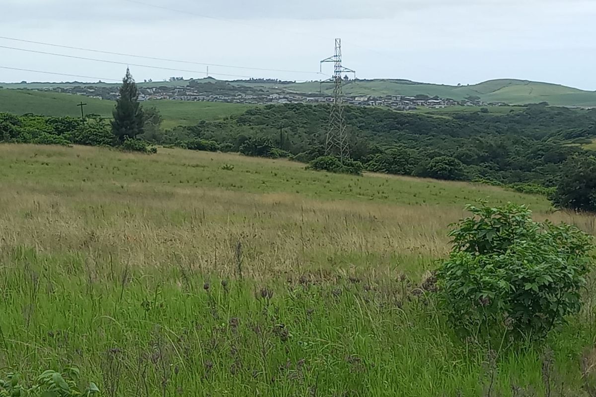 Farm For Sale in Shakaskraal - Photo 5