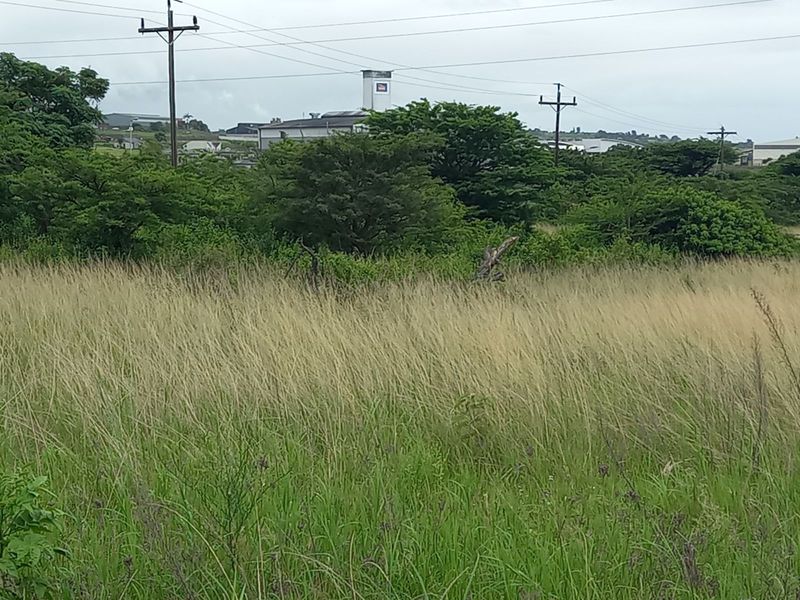 Farm For Sale in Shakaskraal - Photo 7