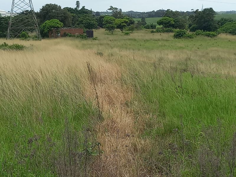 Farm For Sale in Shakaskraal - Photo 6