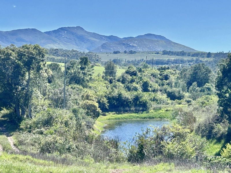 Farm For Sale in Riversdale Rural - Photo 3