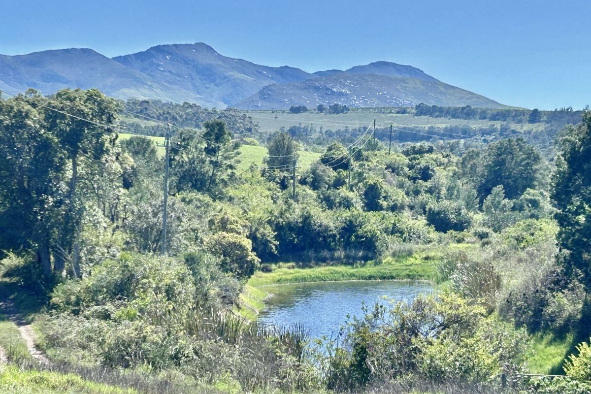Farm For Sale in Riversdale Rural - Photo 3