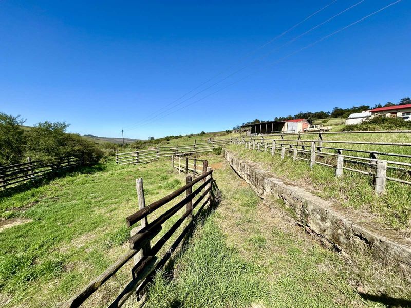 Farm For Sale in Riversdale Rural - Photo 10