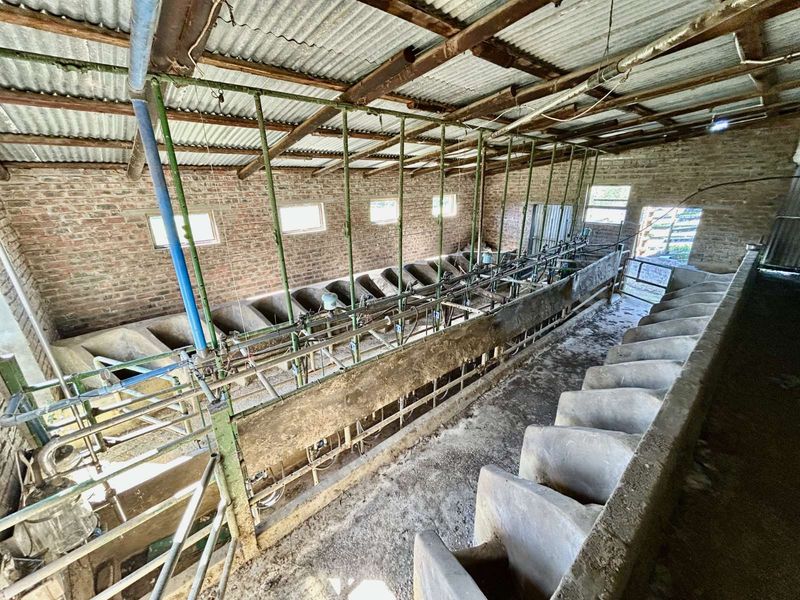 Farm For Sale in Riversdale Rural - Photo 8