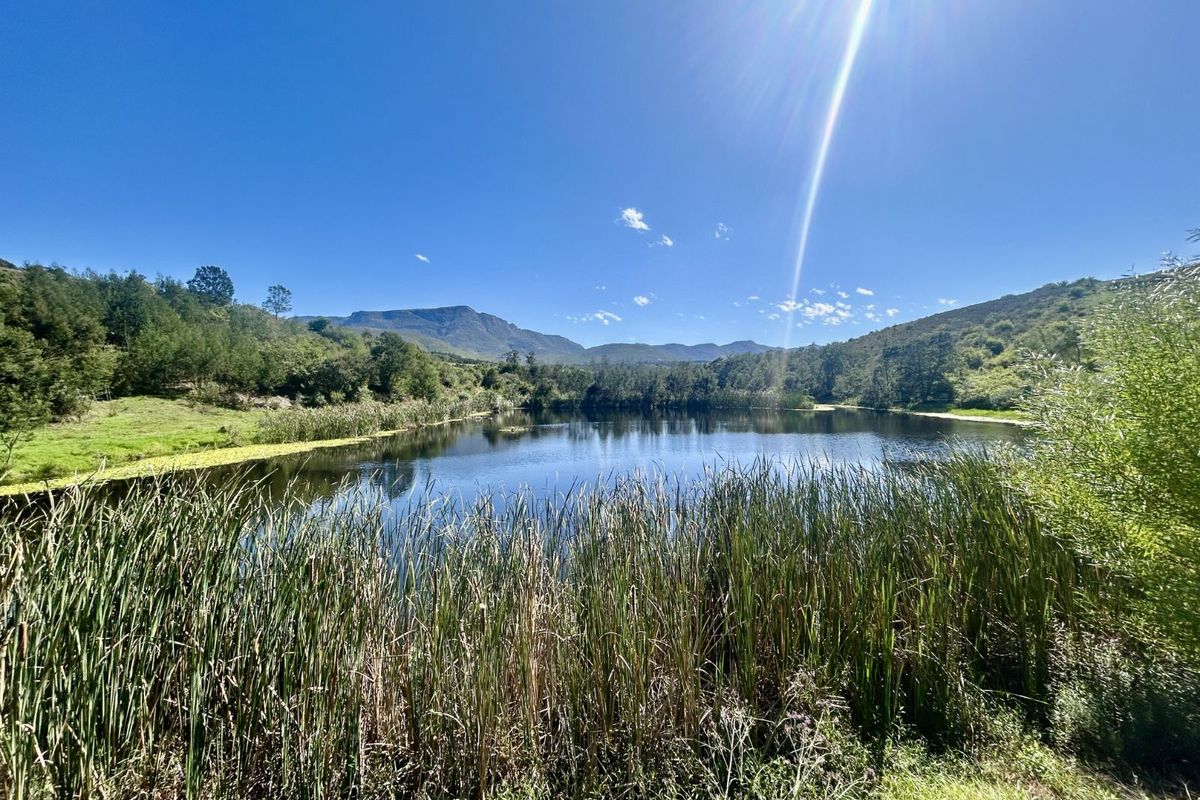 Farm For Sale in Riversdale Rural - Photo 2