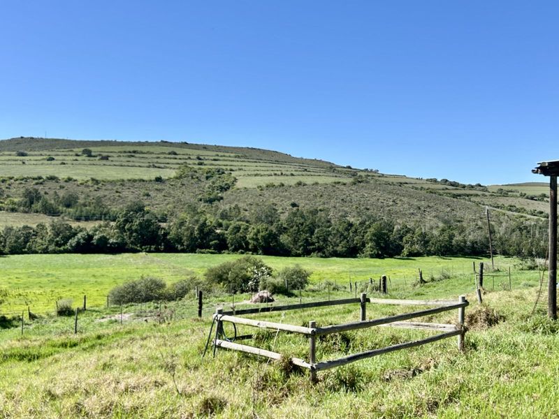 Farm For Sale in Riversdale Rural - Photo 5