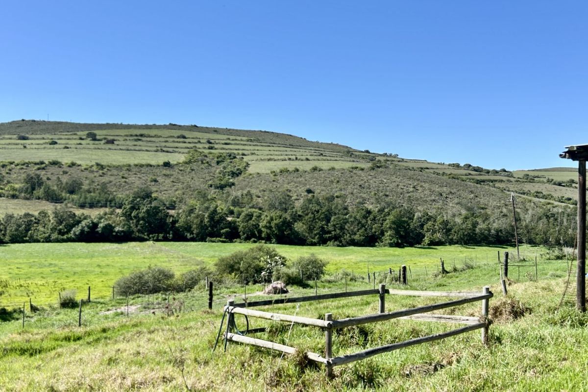 Farm For Sale in Riversdale Rural - Photo 5
