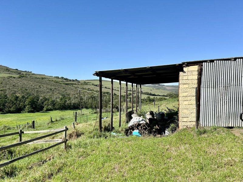 Farm For Sale in Riversdale Rural - Photo 6