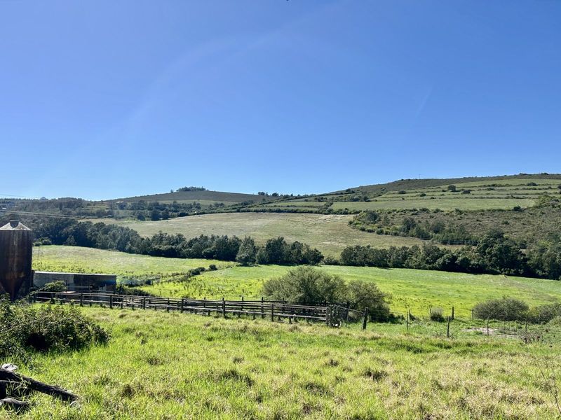 Farm For Sale in Riversdale Rural - Photo 4