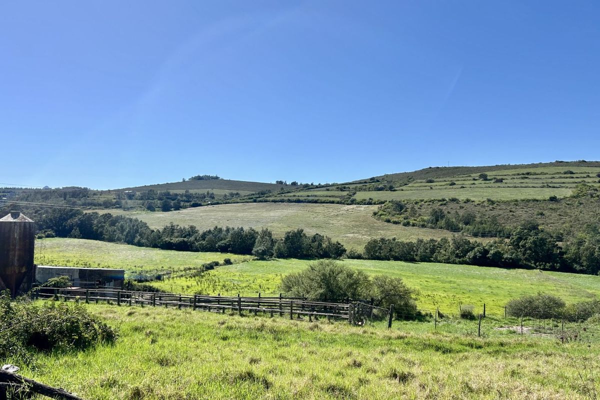 Farm For Sale in Riversdale Rural - Photo 4