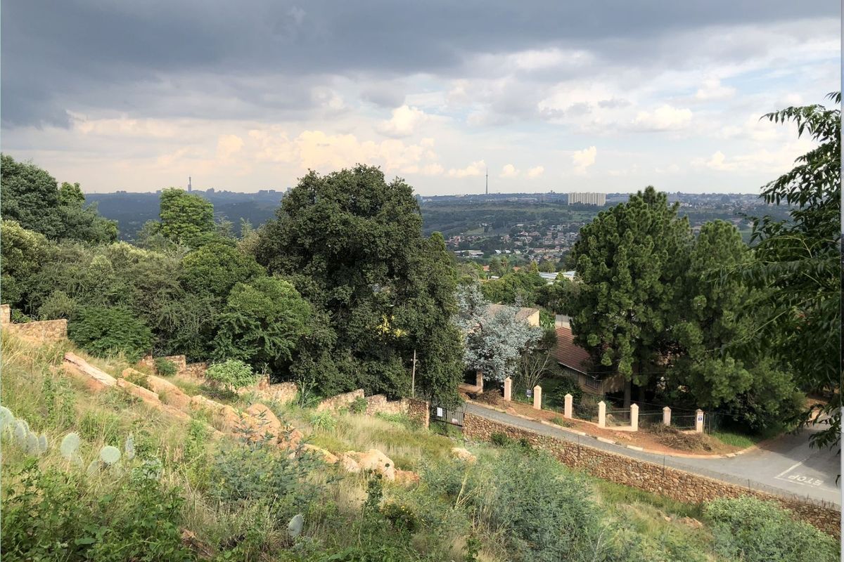 Vacant Land Residential For Sale in Northcliff - Photo 2