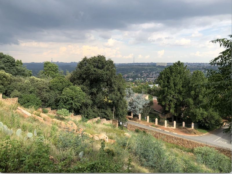 Vacant Land Residential For Sale in Northcliff - Photo 2