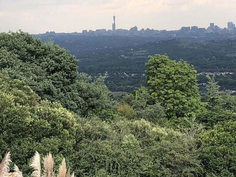 Vacant Land Residential For Sale in Northcliff - Photo 10