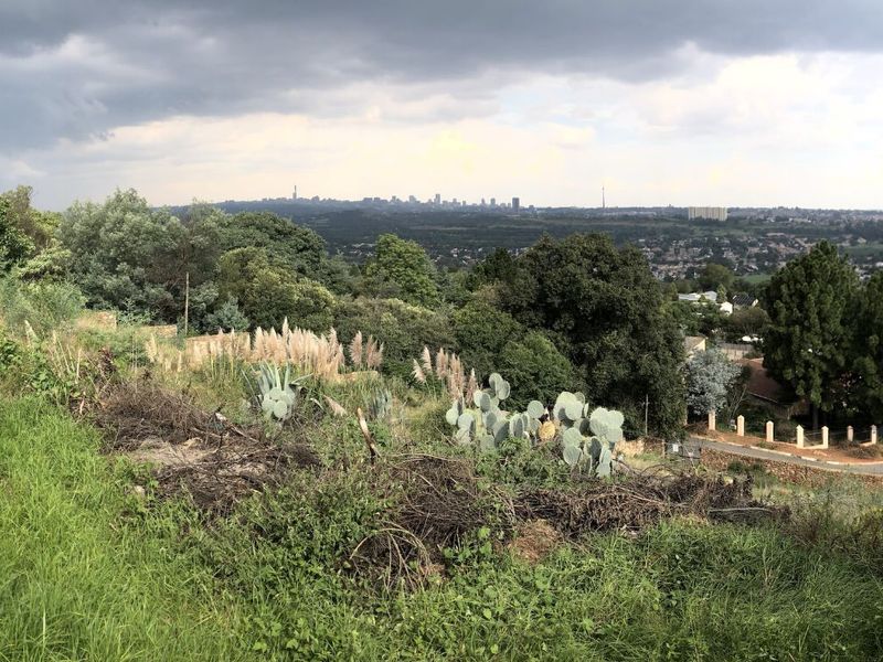 Vacant Land Residential For Sale in Northcliff - Photo 4