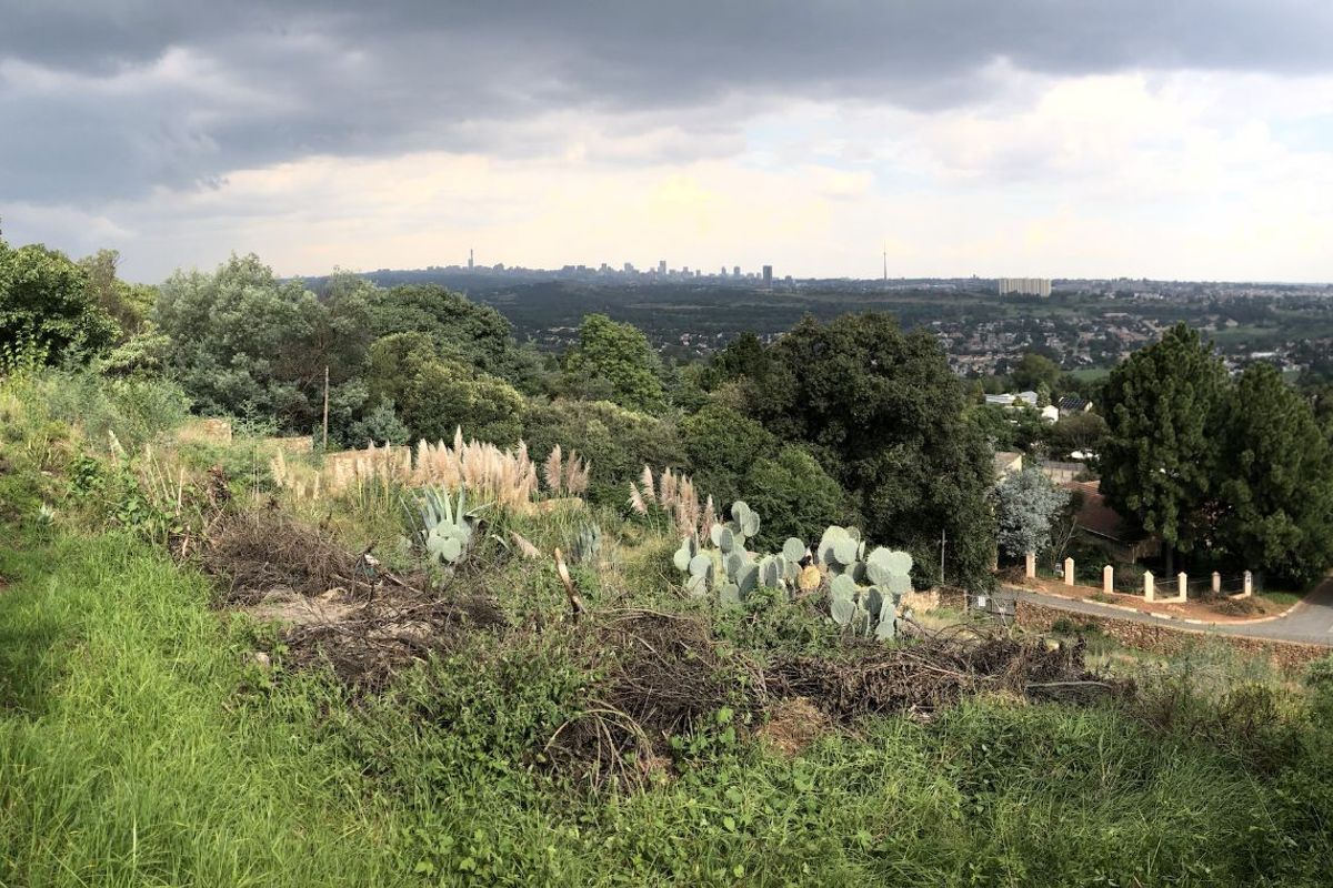 Vacant Land Residential For Sale in Northcliff - Photo 4