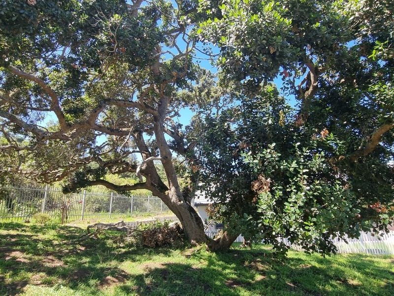 Vacant Land Residential For Sale in The Village - Photo 3