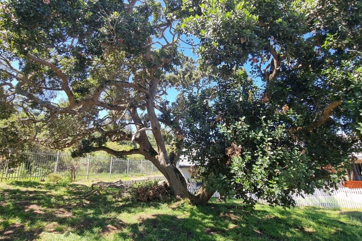 Vacant Land Residential For Sale in The Village - Photo 3