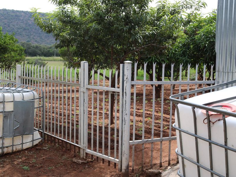 Farm For Sale in Modimolle Rural - Photo 10