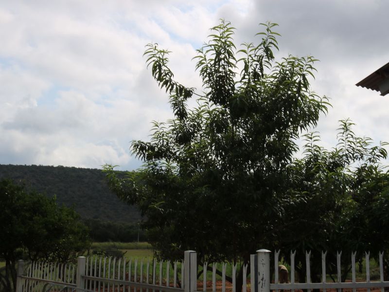 Farm For Sale in Modimolle Rural - Photo 3