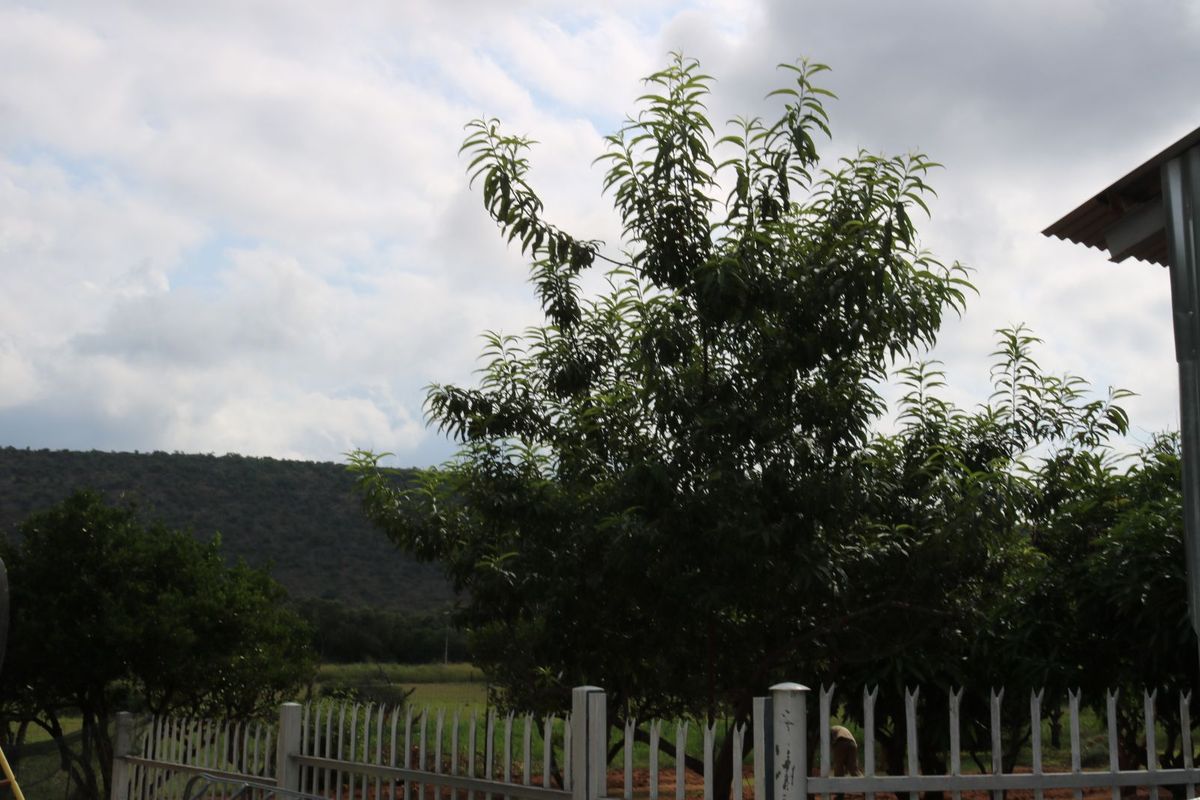 Farm For Sale in Modimolle Rural - Photo 3