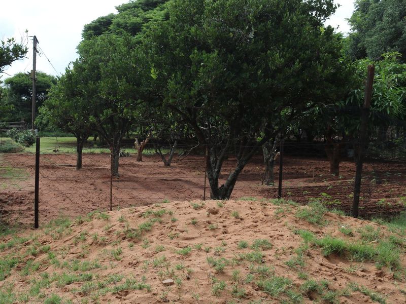 Farm For Sale in Modimolle Rural - Photo 4