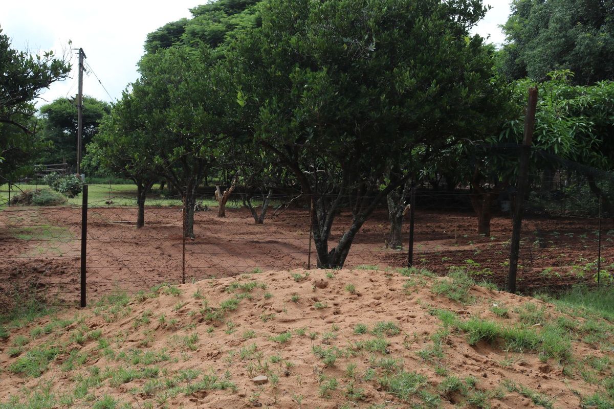 Farm For Sale in Modimolle Rural - Photo 4