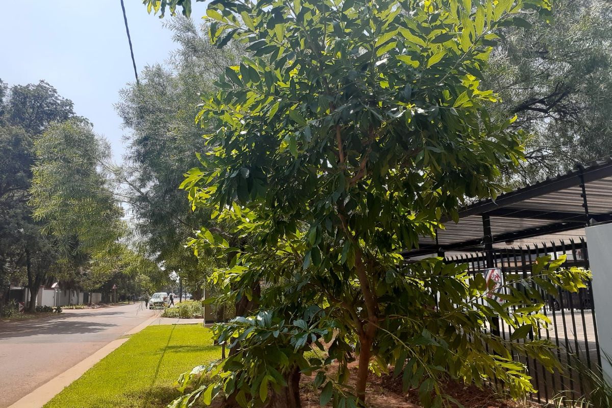 Apartment For Sale in Lyttelton Manor - Photo 2