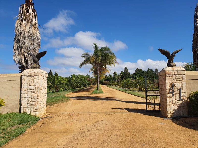 Farm For Sale in Malmesbury Rural - Photo 5