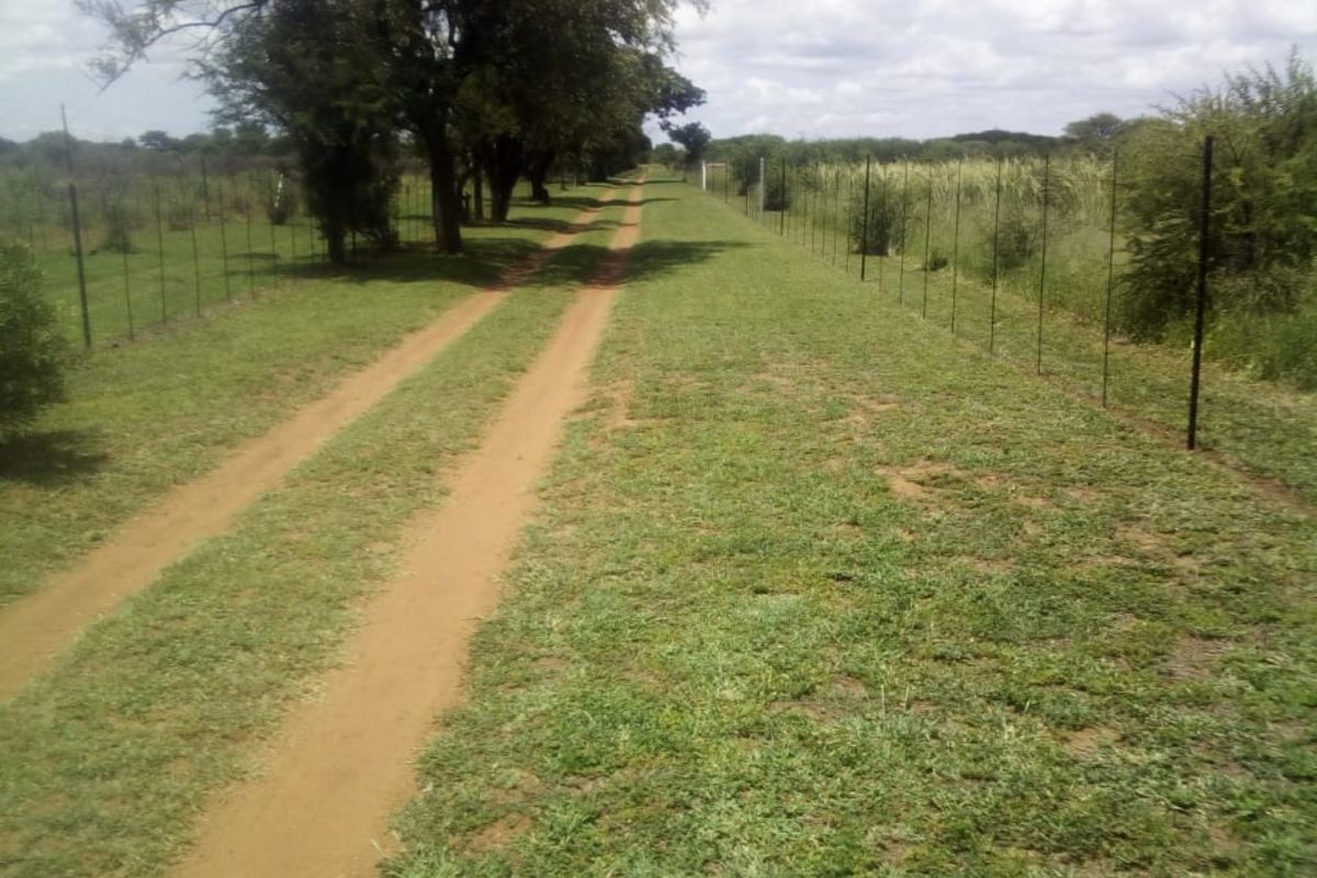 Farm For Sale in Bela Bela Central - Photo 3