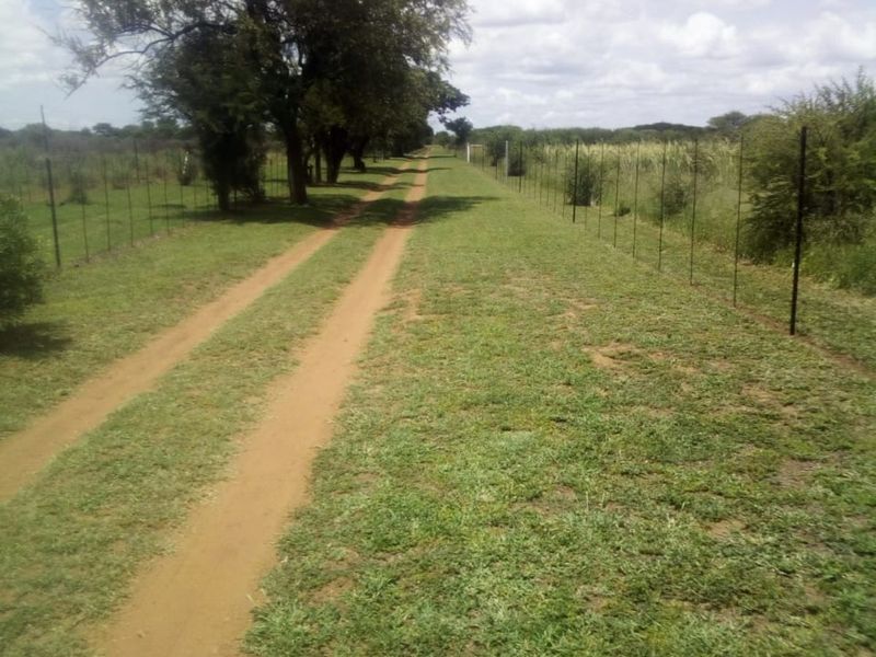 Farm For Sale in Bela Bela Central - Photo 3