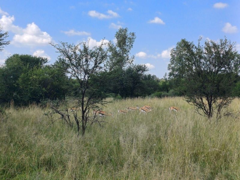 Farm For Sale in Orkney Rural - Photo 9