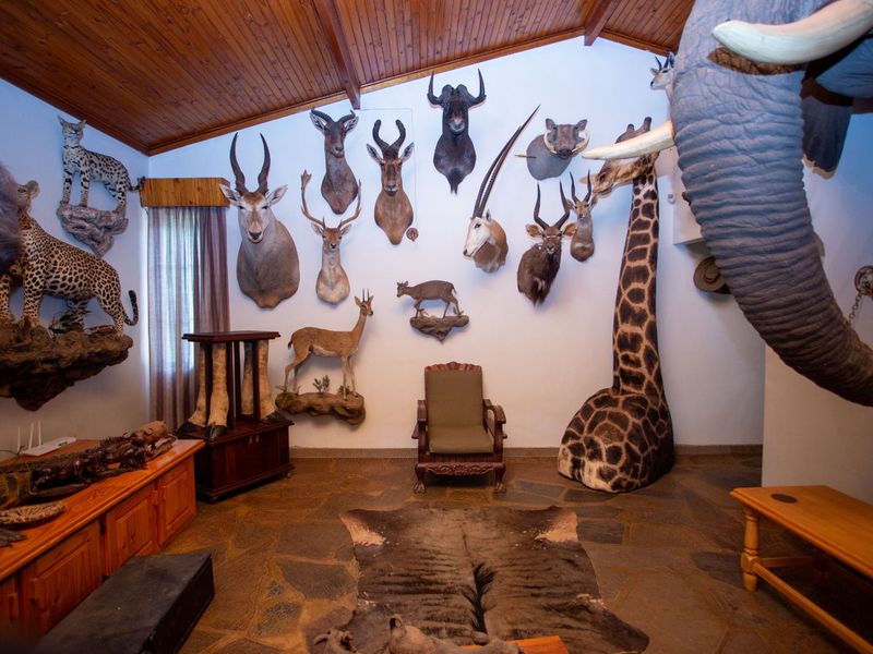 House For Sale in Trim Park - Photo 4