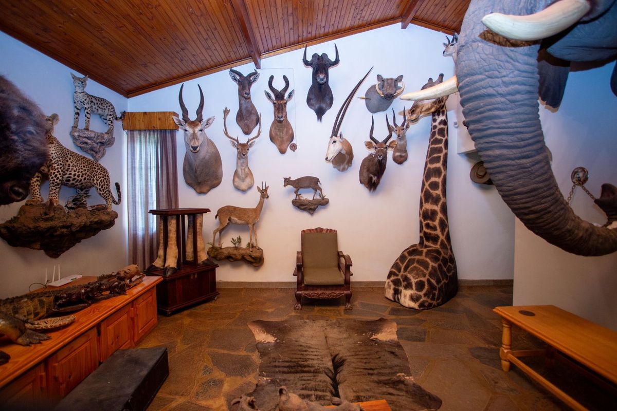 House For Sale in Trim Park - Photo 4