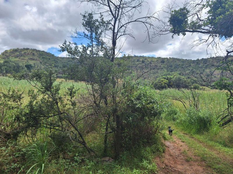 Farm For Sale in Nylsoog Wind And Eco Estate - Photo 10