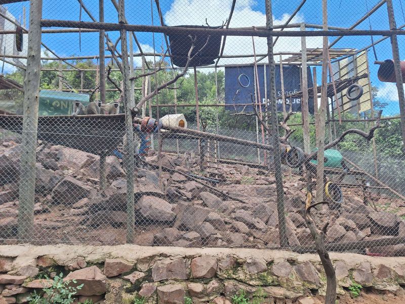 Farm For Sale in Nylsoog Wind And Eco Estate - Photo 9